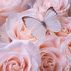دانلود آهنگ حالم بده آره حالم بده هر چی داشتم و دادم رفته